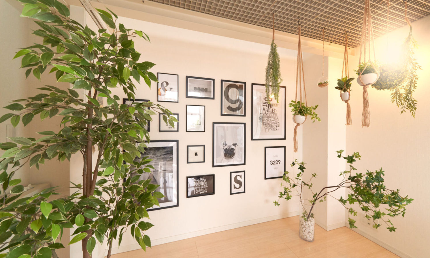 イベントや展示会で植物をレンタルするならグリーンレンタル！